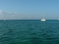 Photos floride et Bahamas 151.jpg